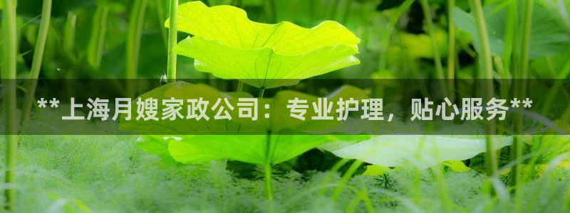 杏悦平台代理怎么样赚钱