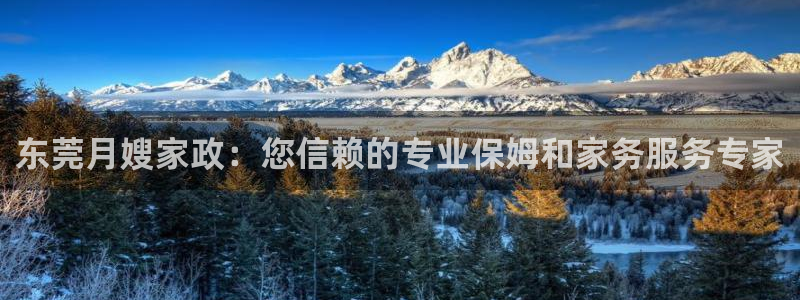 杏悦招商地址