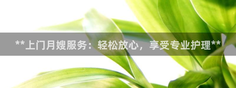 杏悦娱乐怎么玩