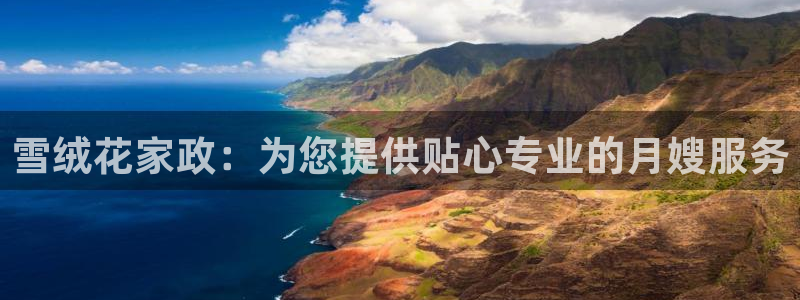 杏悦官方平台官网入口