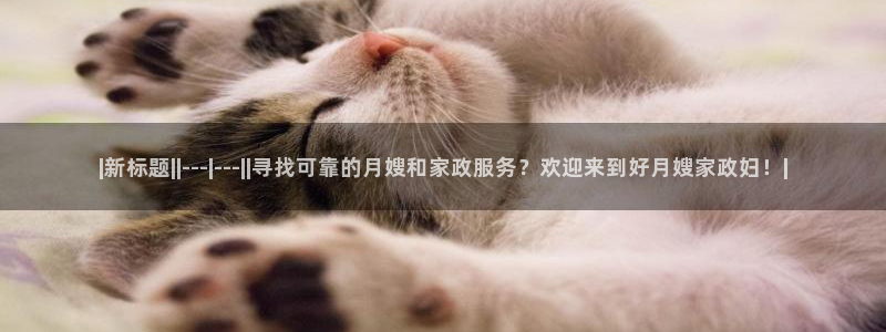 杏悦娱乐平台靠谱吗