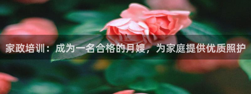 杏悦平台代理