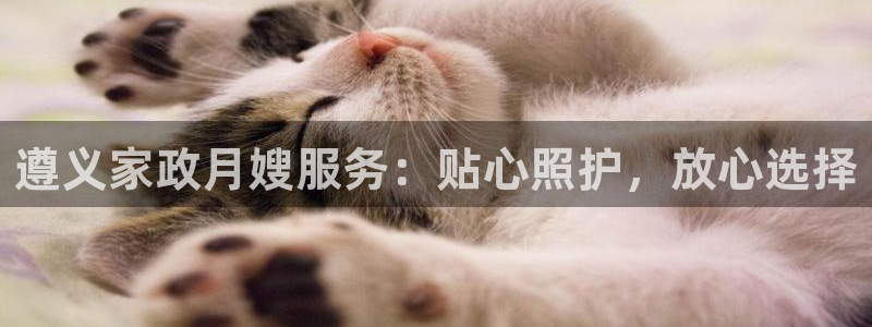 杏悦主管