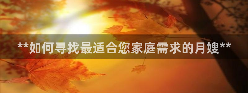 杏悦娱乐注册平台怎么样