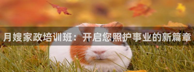 杏悦娱乐注册平台怎么样