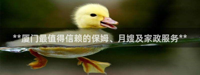 杏悦平台主管