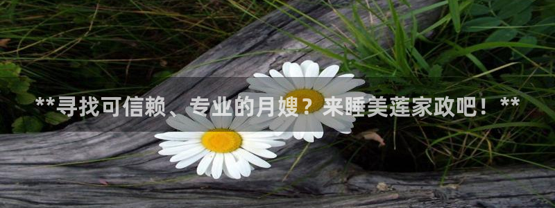杏悦官方平台
