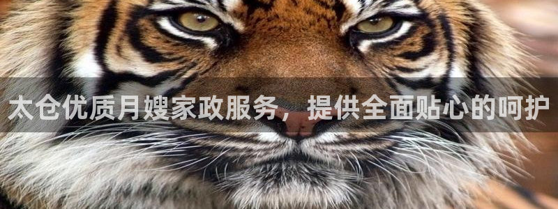 杏悦平台代理怎么样