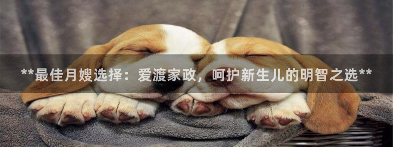 杏悦平台招商怎么样