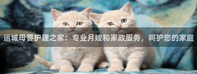 杏悦平台招商怎么样