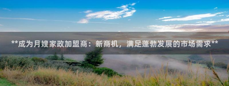 杏悦平台代理注册流程