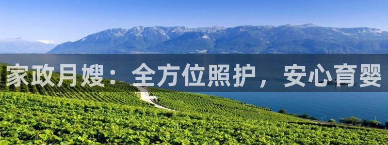 杏悦平台代理