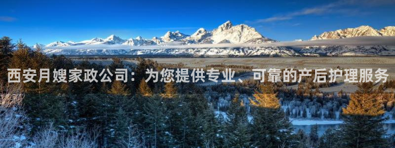 杏悦平台招商电话