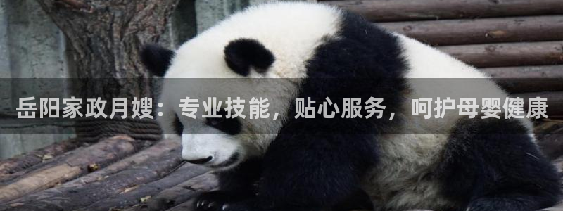 杏悦平台可靠吗可信吗安全吗