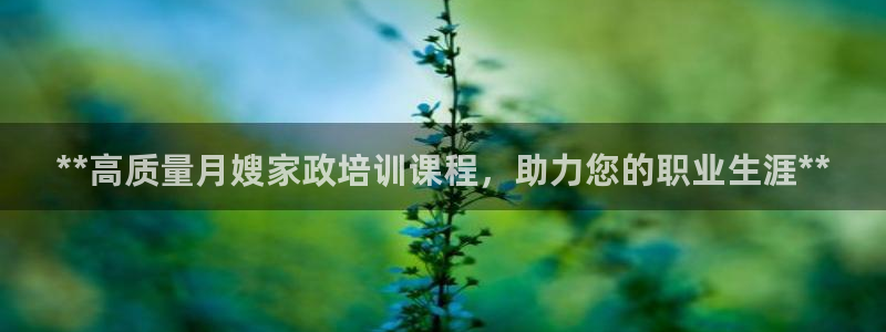 杏悦平台代理怎么样