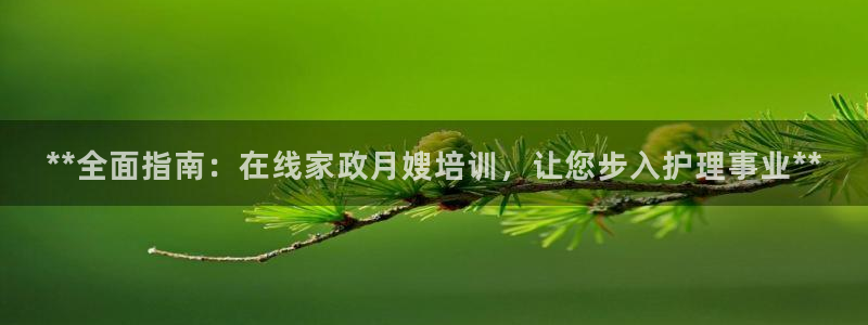 杏悦平台代理怎么做赚钱