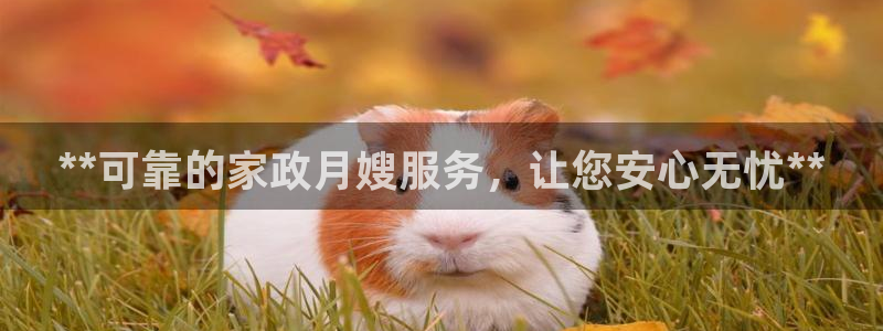 杏悦平台代理怎么样啊
