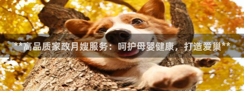 杏悦是什么