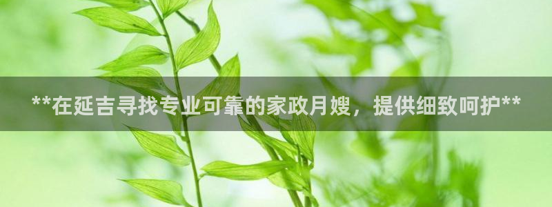 杏悦1招商地址