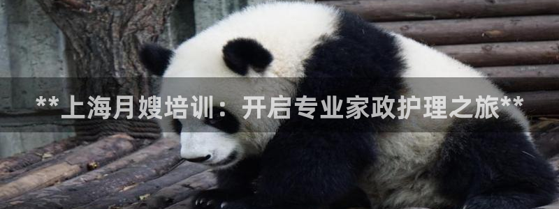 杏悦主管