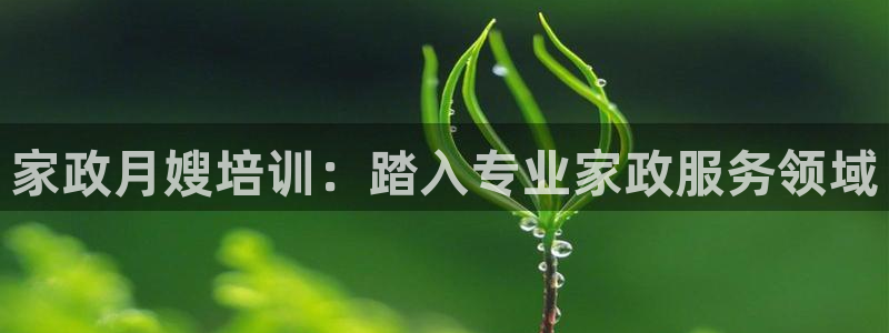 杏悦平台代理怎么做