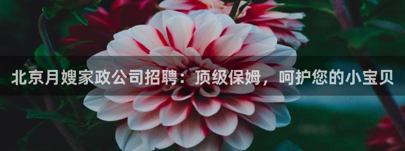 杏悦总代理