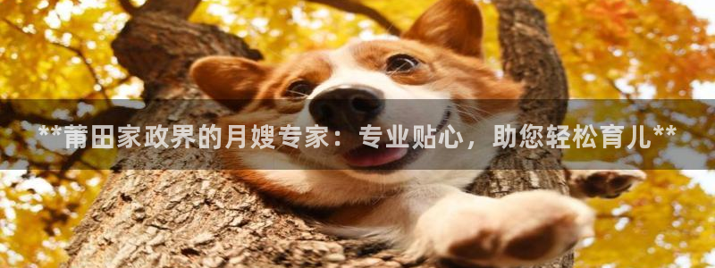 杏悦招商地址