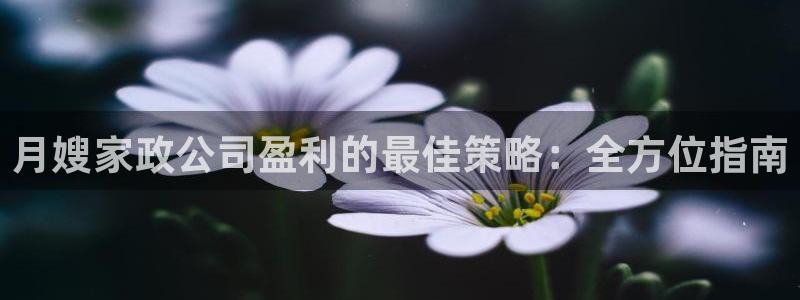 杏悦平台开户地址