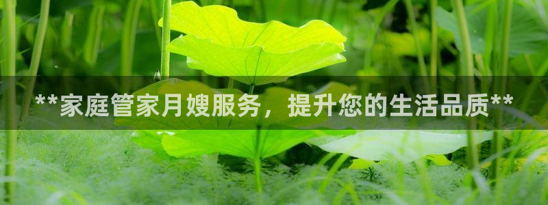 杏悦官方平台