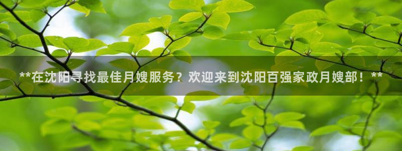 杏悦官方平台官网