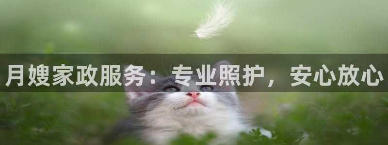 杏悦官网客服