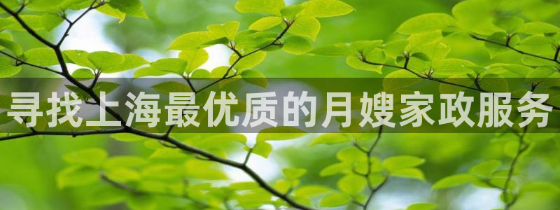 杏悦平台代理怎么样