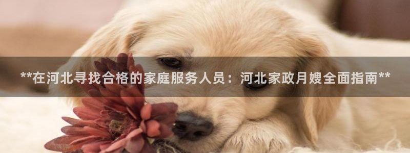 杏悦靠谱吗