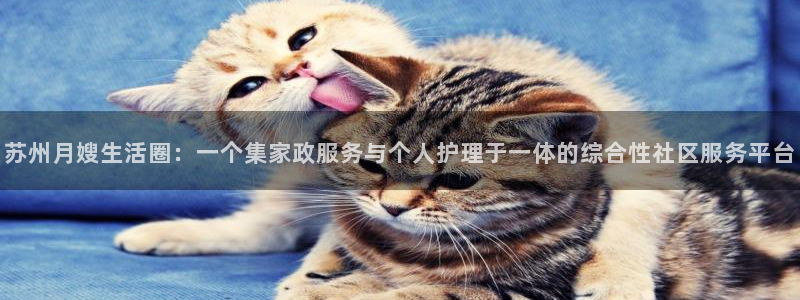 杏悦平台可靠吗是真的吗知乎