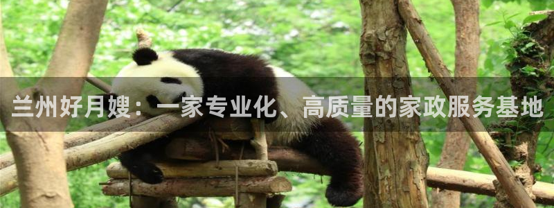 杏悦平台代理怎么做