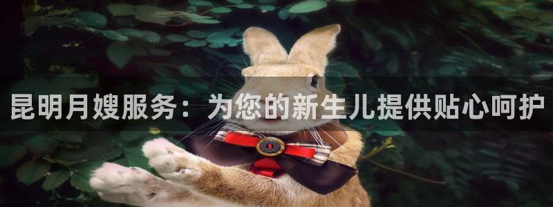 杏悦平台代理