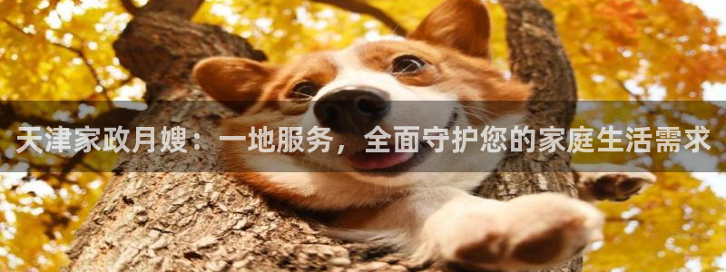 杏悦是什么