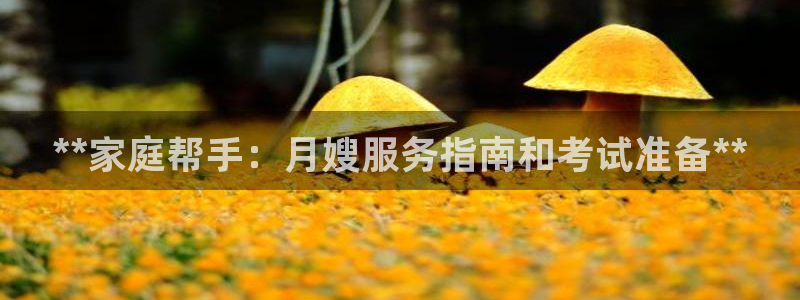 杏悦平台可靠吗是真的吗