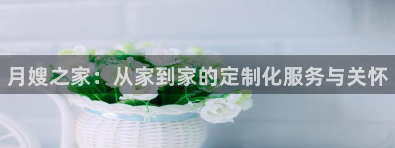 杏悦平台招商电话