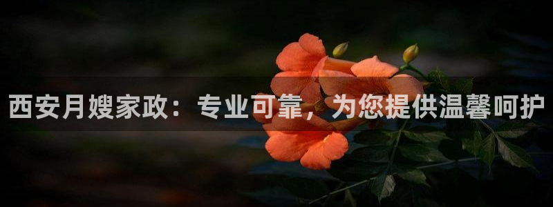 杏悦官方平台官网首页