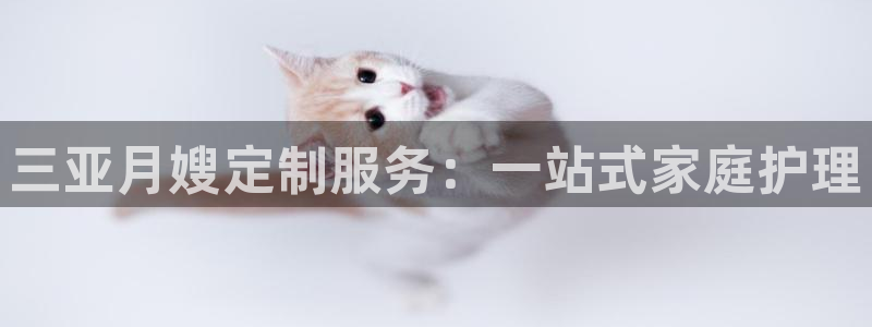 杏悦平台招商