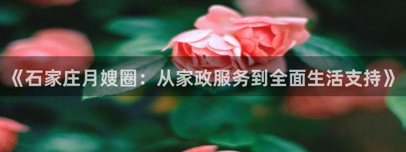 杏悦平台代理怎么做的