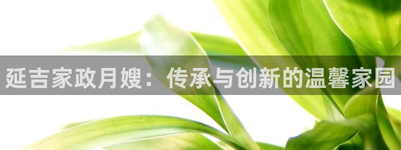杏悦平台代理怎么样