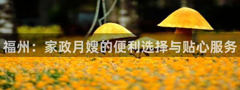 杏悦平台可靠吗是真的吗