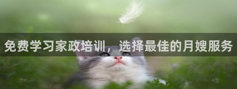 杏悦平台招商电话号码