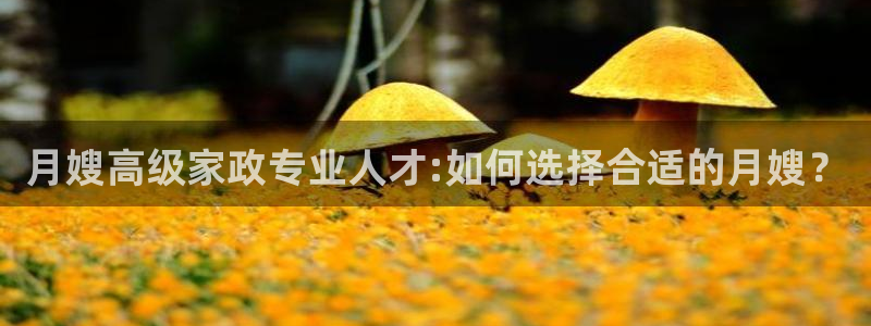 杏悦1招商地址