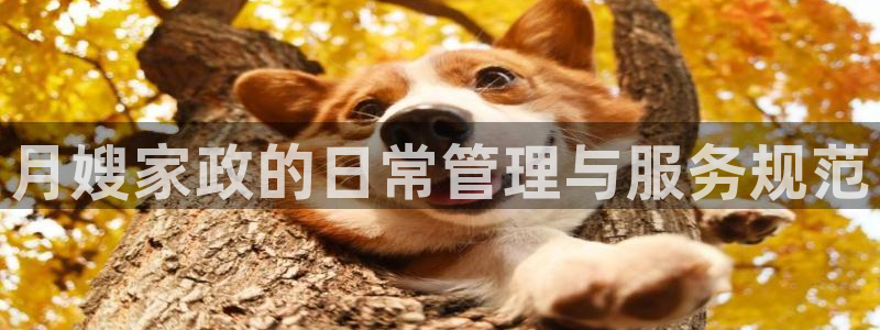 杏悦平台招商怎么样