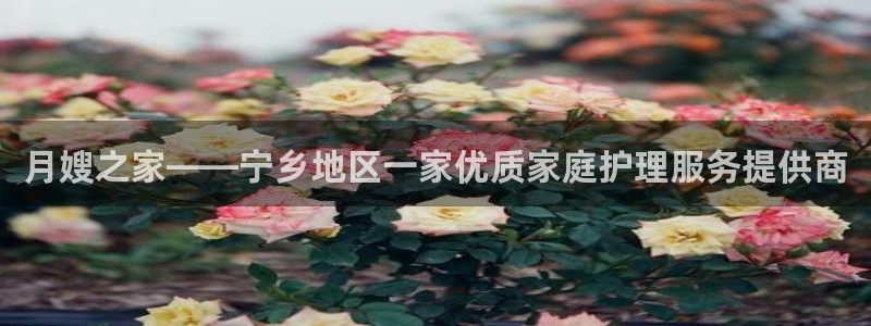 杏悦平台可靠吗可信吗安全吗