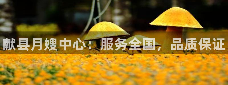 杏悦平台招商怎么样