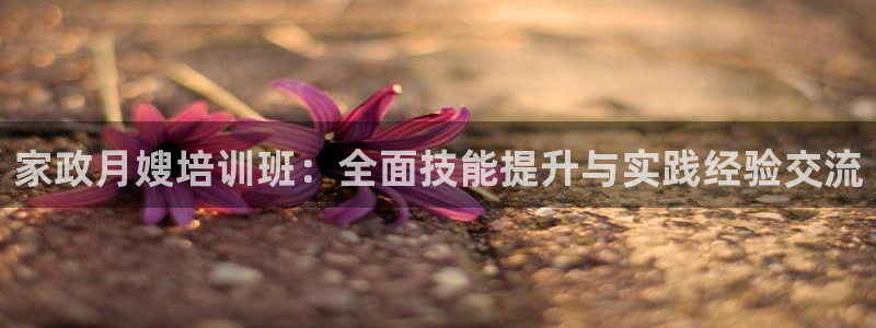 杏悦主管